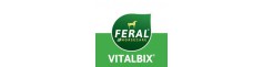 VitalBix
