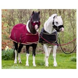 Halster Shet ShowTime Harry and Hector